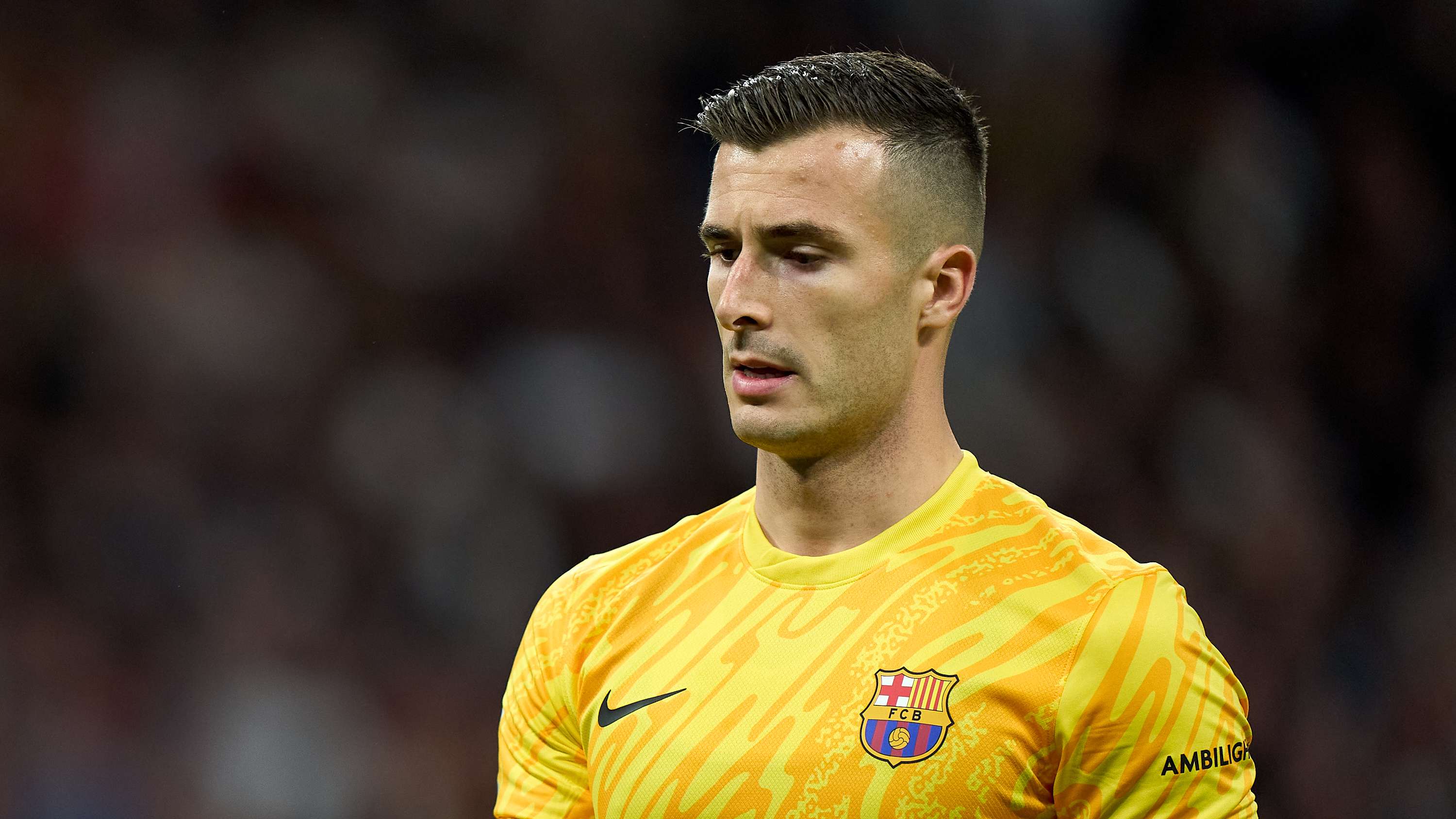 场的闪光 场的闪光